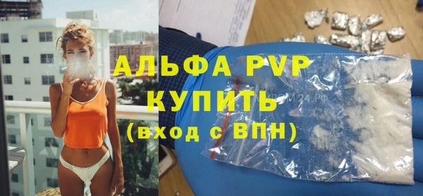 стафф Богородицк
