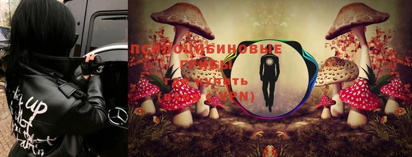 стафф Богородицк